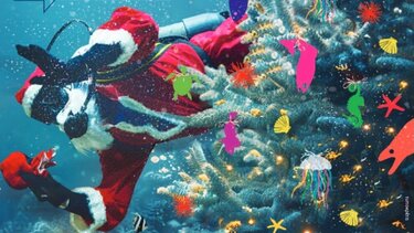 Ενυδρείο Χριστούγεννα 2025