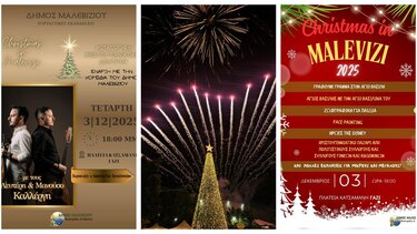 Δέντρο Γάζι