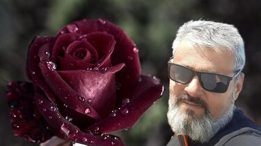 Κήδεία επαγγελματίας οδηγός