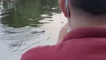 krokodeilos indonesia