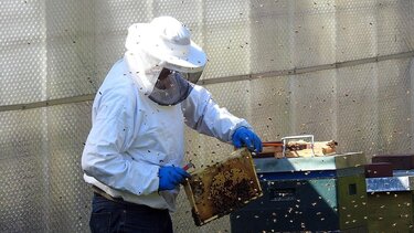 μελισσοκόμος