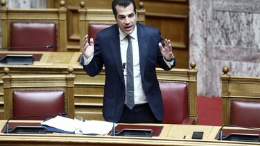 Πλεύρης Μετανάστες Βατσινά