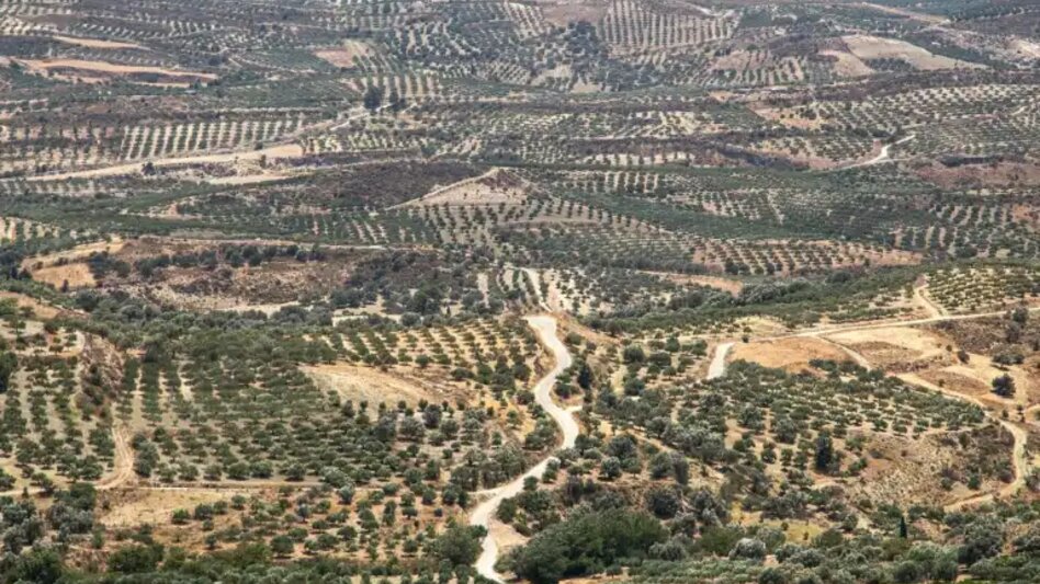 Τελευταία ευκαιρία για δηλώσεις κτηματογράφησης στην Κρήτη!