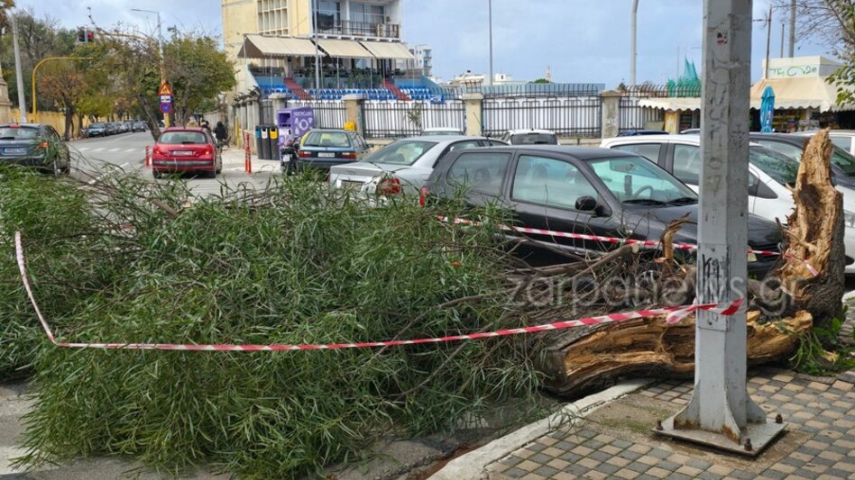 Δέντρο έκοψε στα δύο έξω από το Δημοτικό Στάδιο Χανίων