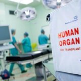 Ζωή μέσα από το δράμα - Να δωρίσει τα όργανά της αποφάσισε η οικογένεια της 33χρονης Αμερικανίδας