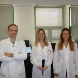 Ερευνητές του Πανεπιστημίου Κρήτης ίσως βρήκαν την "αχίλλειο πτέρνα" για τις περισσότερες μορφές καρκίνου