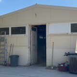 "Σκυλοβόλτες" στο Κυνοκομείο: Το σπουδαίο έργο των εθελοντών και η γενναιόδωρη πράξη της υιοθεσίας 