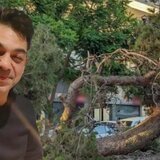 Δύο χρόνια από την τραγωδία με το "φονικό πεύκο": Συγκλονίζει η ανάρτηση της χήρας