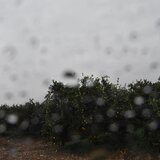 Meteo: Σημαντικά ύψη βροχής και στην Κρήτη