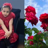 Αβάσταχτος πόνος για τον θάνατο της 8χρονης Μαρίας Έλενας...