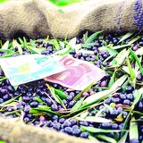 Σε απόγνωση οι παραγωγοί: Ο ΟΠΕΚΕΠΕ αμφισβητεί και δεν πληρώνει, ο ΕΛΓΑ παρακρατεί χρήματα!