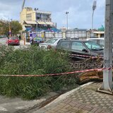 Δέντρο κόπηκε στα δύο έξω από το Δημοτικό Στάδιο Χανίων