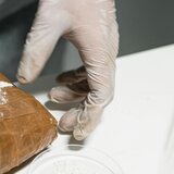 Ο εγκέφαλος στο Σίσι, η καβάτζα με την κόκα στην Σταλίδα