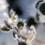 Τοπικές βροχές και χαμηλές θερμοκρασίες στην Κρήτη και την Πέμπτη