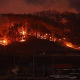 18 νεκροί στις «χειρότερες» πυρκαγιές που έπληξαν «ποτέ» τη Νότια Κορέα