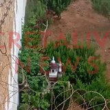 Φυλακές Ν. Αλικαρνασσού: «Ξέρω ότι θα πάω φυλακή. Ζητάω συγνώμη που ατίμωσα την στολή, με απείλησαν με όπλο»