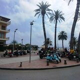 Σητεία: Φύτεψαν δέντρα στη χερσαία ζώνη του λιμανιού και... συνελήφθησαν!