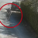 Βίντεο - ντοκουμέντο: Η στιγμή που ο 62χρονος φερόμενος εμπρηστής απομακρύνεται από το σημείο της φωτιάς στην Κάντζα