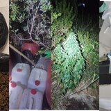 Χανιά: Τι έγινε στην επεισοδιακή επιχείρηση με τους τραυματισμούς αστυνομικών - Τρεις οι συλλήψεις