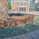 Πλατεία Ελευθερίας: Ένα έργο που... "γέρασε" πριν καν παραδοθεί; Δείτε βίντεο