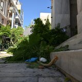 Πτώση δέντρου στο κέντρο της Αθήνας – Δύο τραυματίες