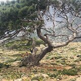 ΟΠΕΚΕΠΕ: δράματα στην Κρήτη από την δέσμευση εκατοντάδων τραπεζικών λογαριασμών με εισαγγελική διάταξη 