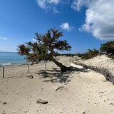 Η επόμενη μέρα για την προστασία και διαχείριση της νήσου Χρυσή