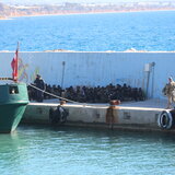 Χωρίς τέλος οι μεταναστευτικές ροές προς την Κρήτη: Περισσότερες από 881 αφίξεις σε λίγες ημέρες - Συνεχείς αφίξεις το Σάββατο